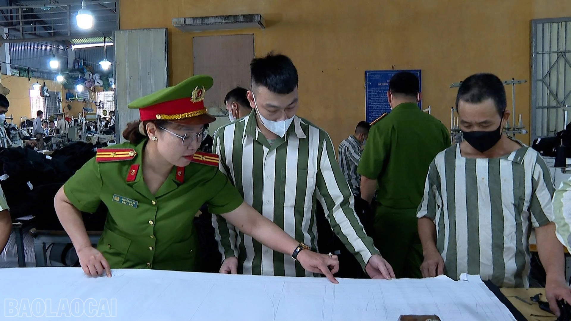 baolaocai-bl_z7801472207747-65c3c5c175b12cf9e5ee0e07b5df9e1c.jpg