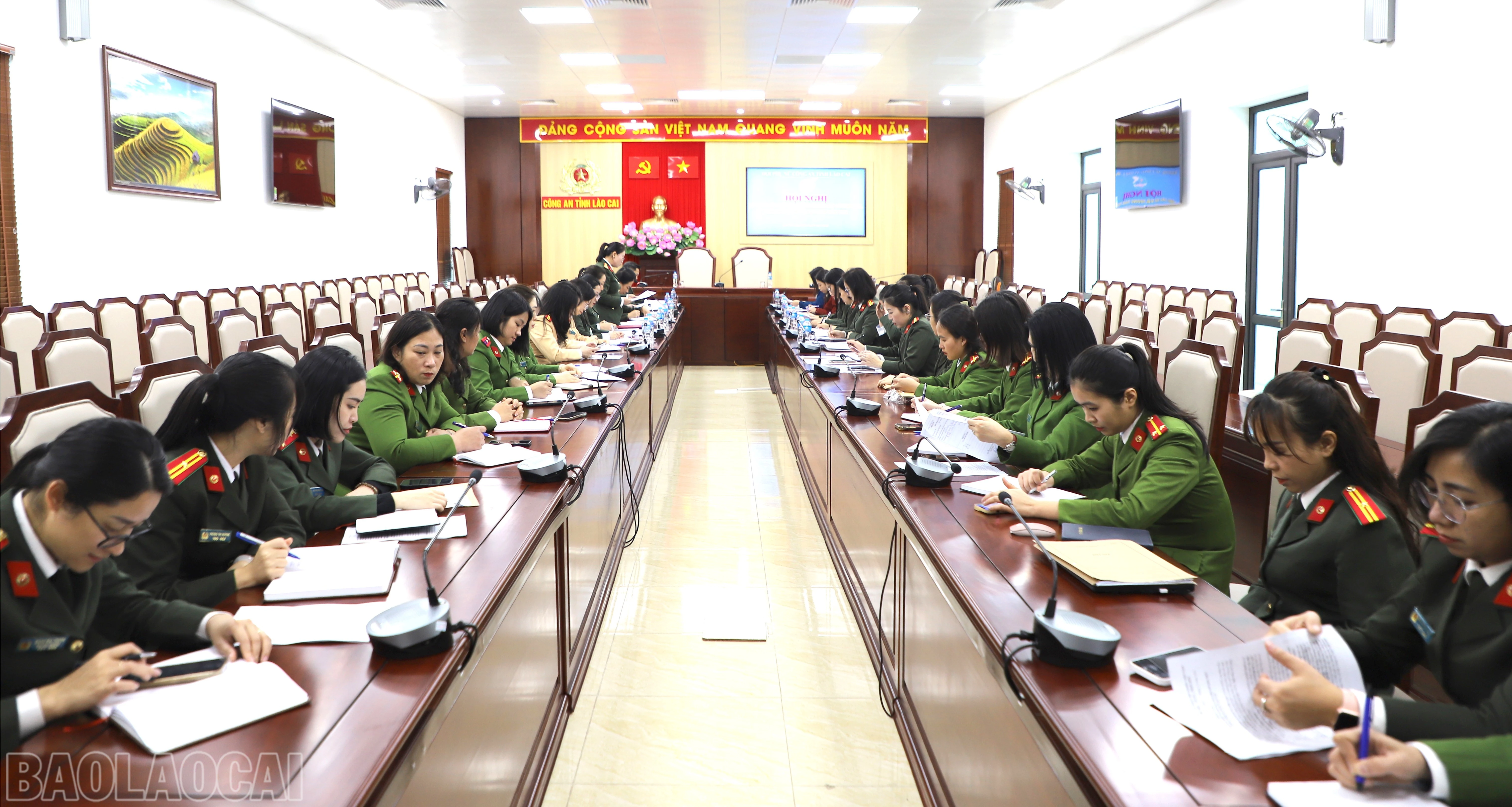 baolaocai-bl_anh4-1-8522.jpg