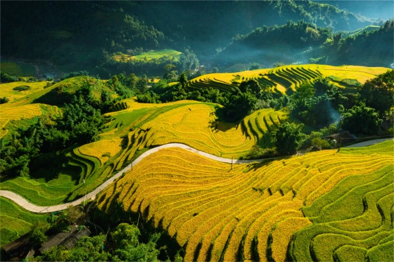 sapa5.jpg