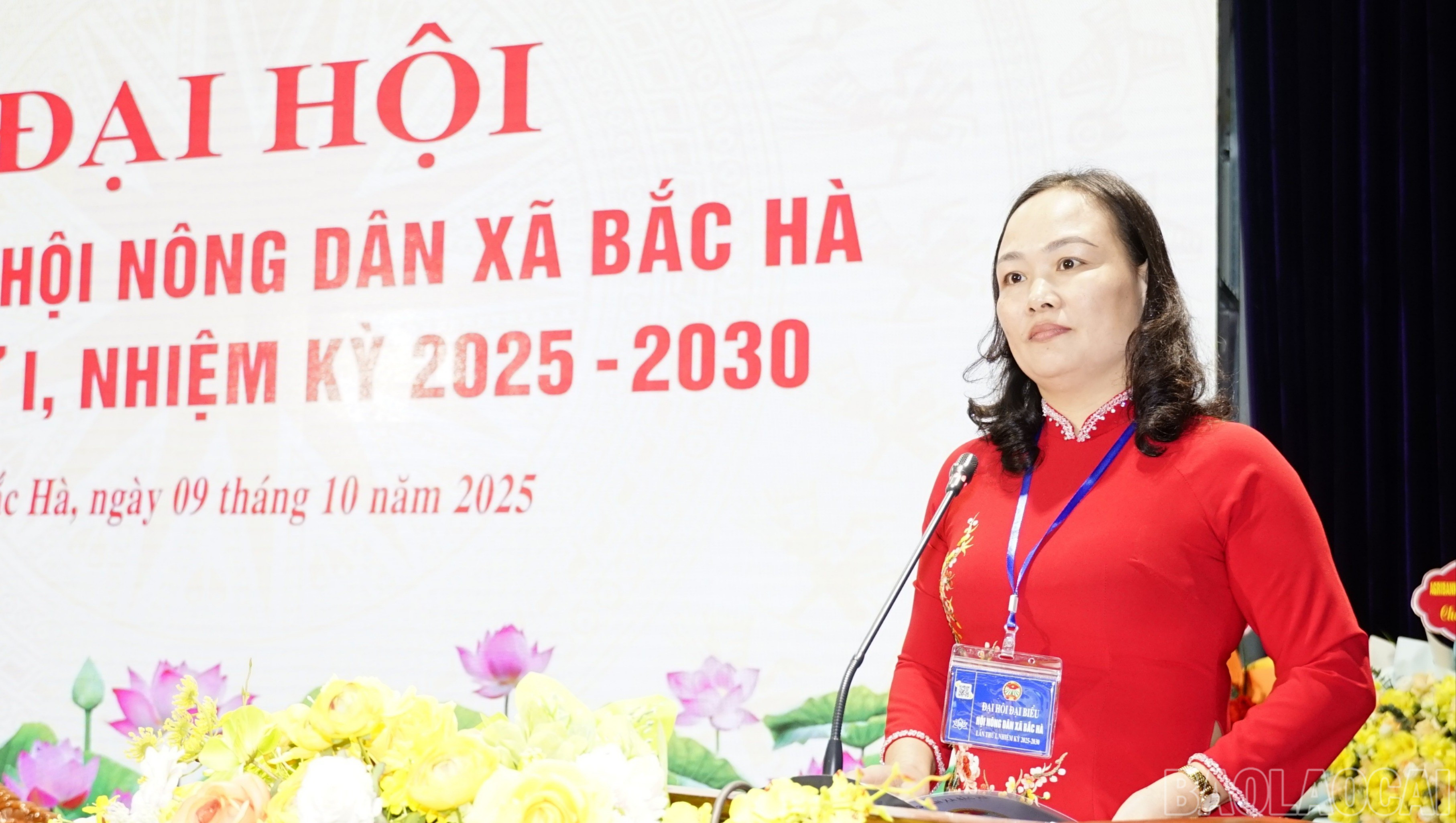 baolaocai-br_dsc3587-6985.jpg