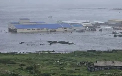 Sóng thần đã tấn công bờ biển Viễn Đông của nước Nga sau trận động đất 8,8 độ ở Kamchatka hôm 30/7/2025. dongdat.jpg