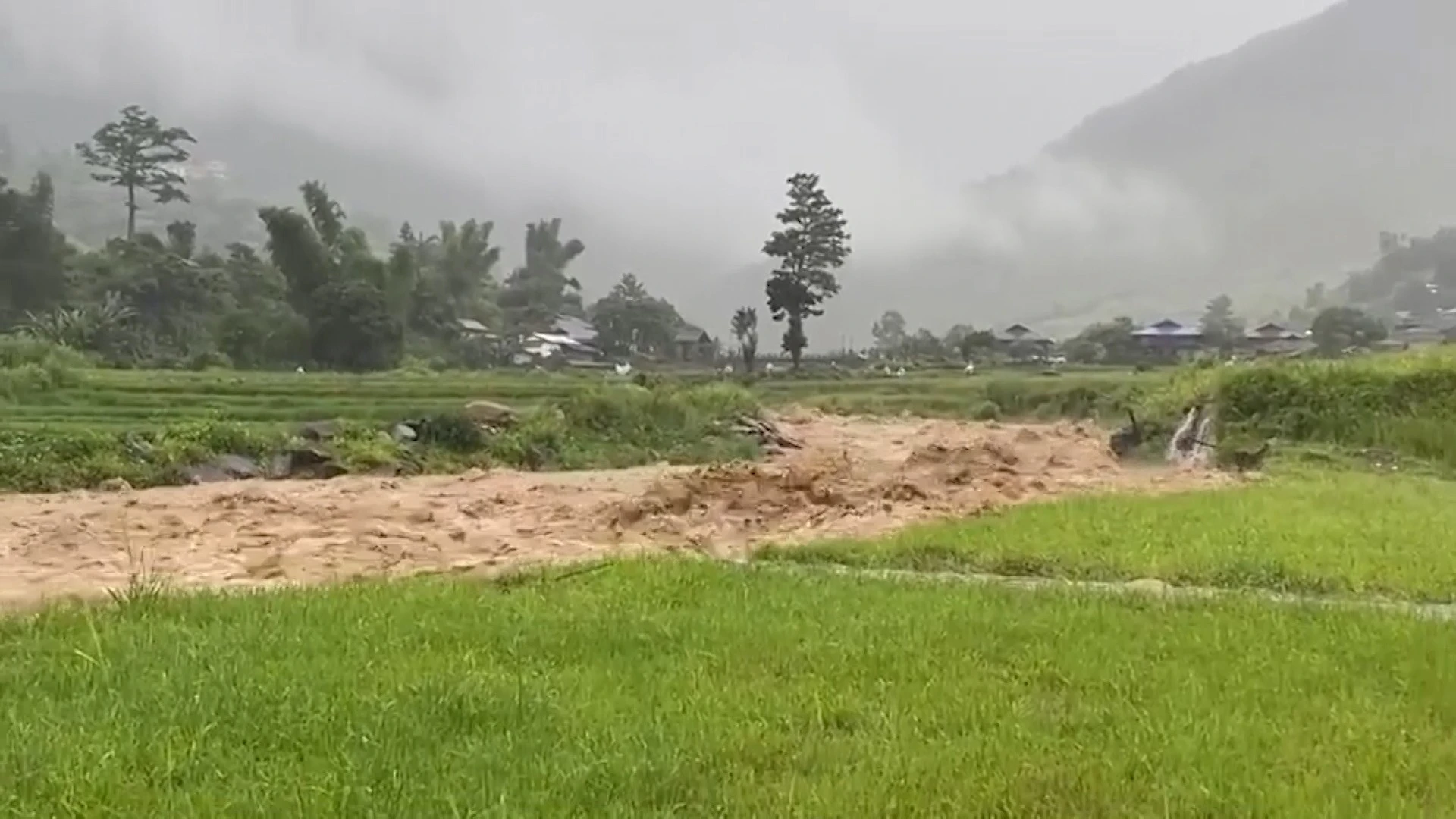 Nước lũ tràn vào cánh đồng, gây ngập úng ở xã Tú Lệ.