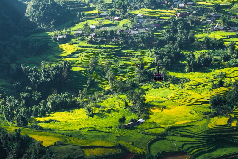 sapa0.jpg