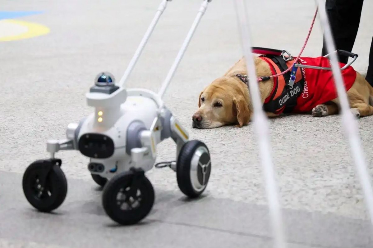 Robot “chó dẫn đường” thông minh ở ga tàu điện ngầm tại Thâm Quyến.