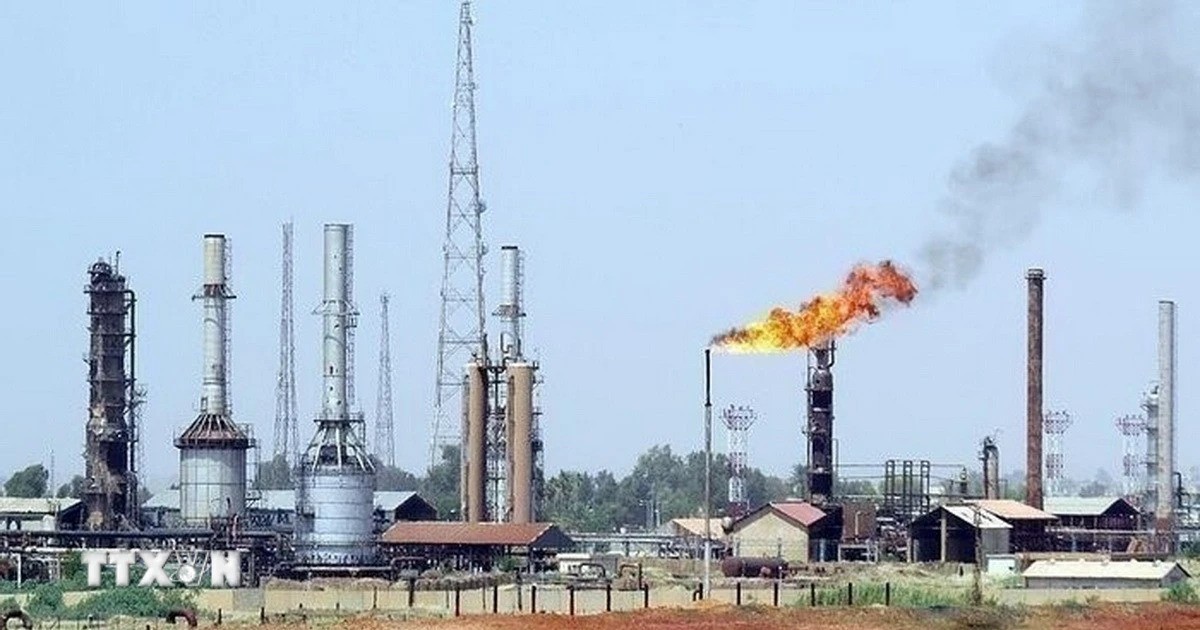 gia-dau-1.jpg