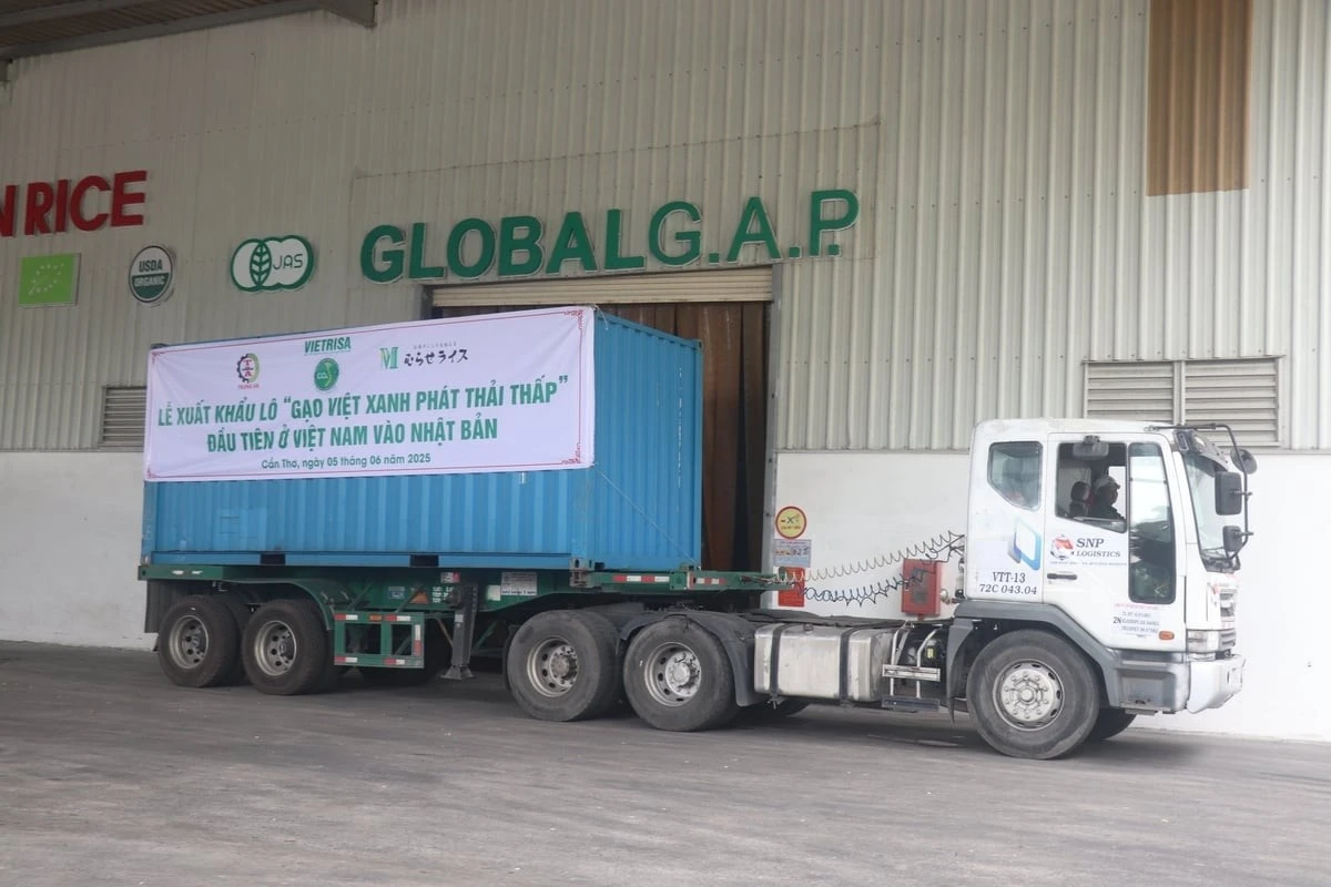 Lô gạo giảm phát thải đầu tiên từ Đề án 1 triệu ha lúa chất lượng cao đã được xuất khẩu sang thị trường Nhật Bản.