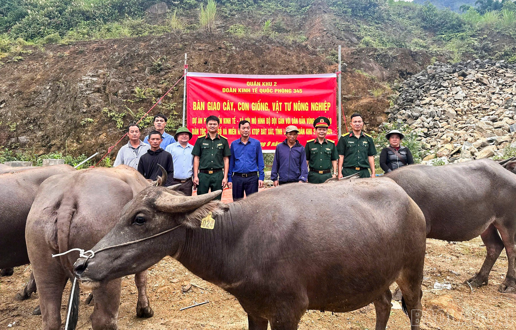 Bàn giao trâu sinh sản, ngựa và dê giống cho nông dân xã Y Tý và Pha Long. baolaocai-br_3-3.jpg