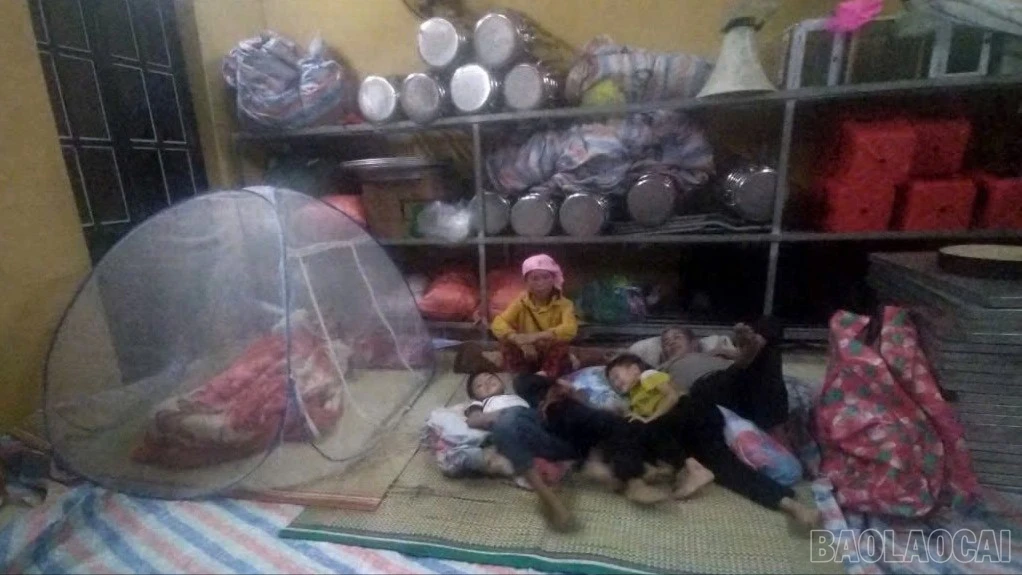 baolaocai-br_3-6564.jpg