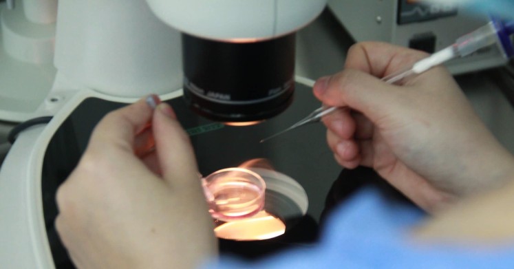Bác sĩ rã phôi tại một cơ sở IVF. ivf2.png