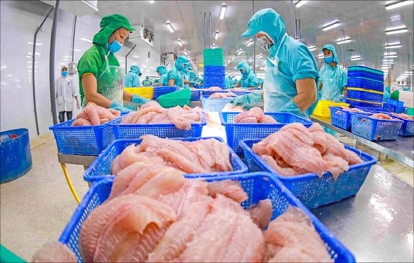 Chế biến cá tra xuất khẩu. 8-7xuat-khau1.jpg