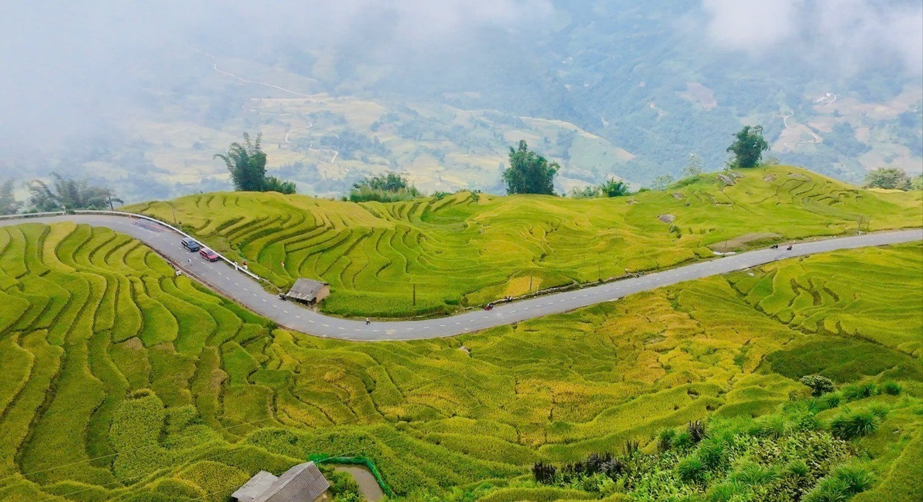 Nằm ở độ cao 2.000m so với mực nước biển, Y Tý luôn được sương mù bao phủ quanh năm. Đặc biệt, mỗi khi đến mùa lúa chín, cả bản làng, núi đồi như khoác lên "tấm áo mới" bởi màu sắc vàng óng sáng bừng của những thửa ruộng bậc thang. yty1-9247.jpg