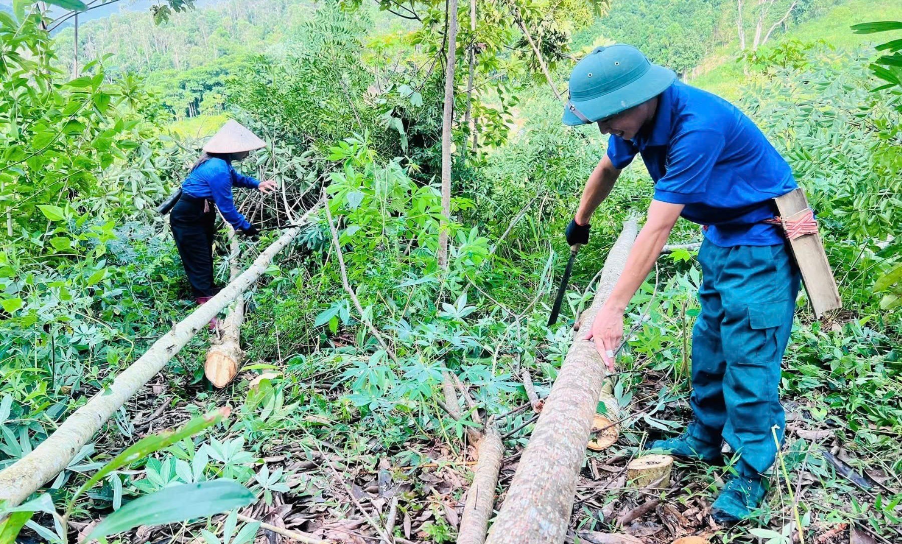 Tuổi trẻ xã Thượng Hà giúp nhân dân dọn dẹp, phát quang cây cối khu vực hành lang lưới điện. 20-9392.jpg