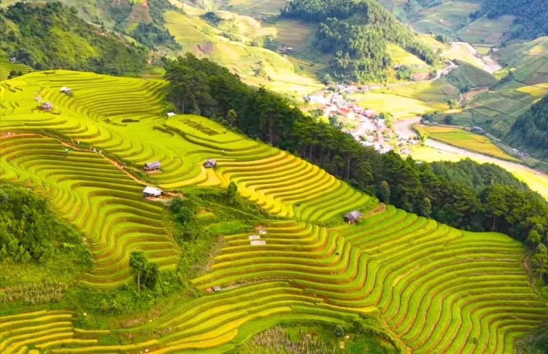 Cảnh sắc Lào Cai. ruongbacthangmcc.jpg