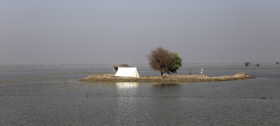 Hơn 30 triệu người Pakistan bị ảnh hưởng bởi trận lũ lụt chưa từng có do mưa dữ dội gây ra năm 2022. Hơn 30 triệu người Pakistan bị ảnh hưởng bởi trận lũ lụt chưa từng có do mưa dữ dội gây ra năm 2022.