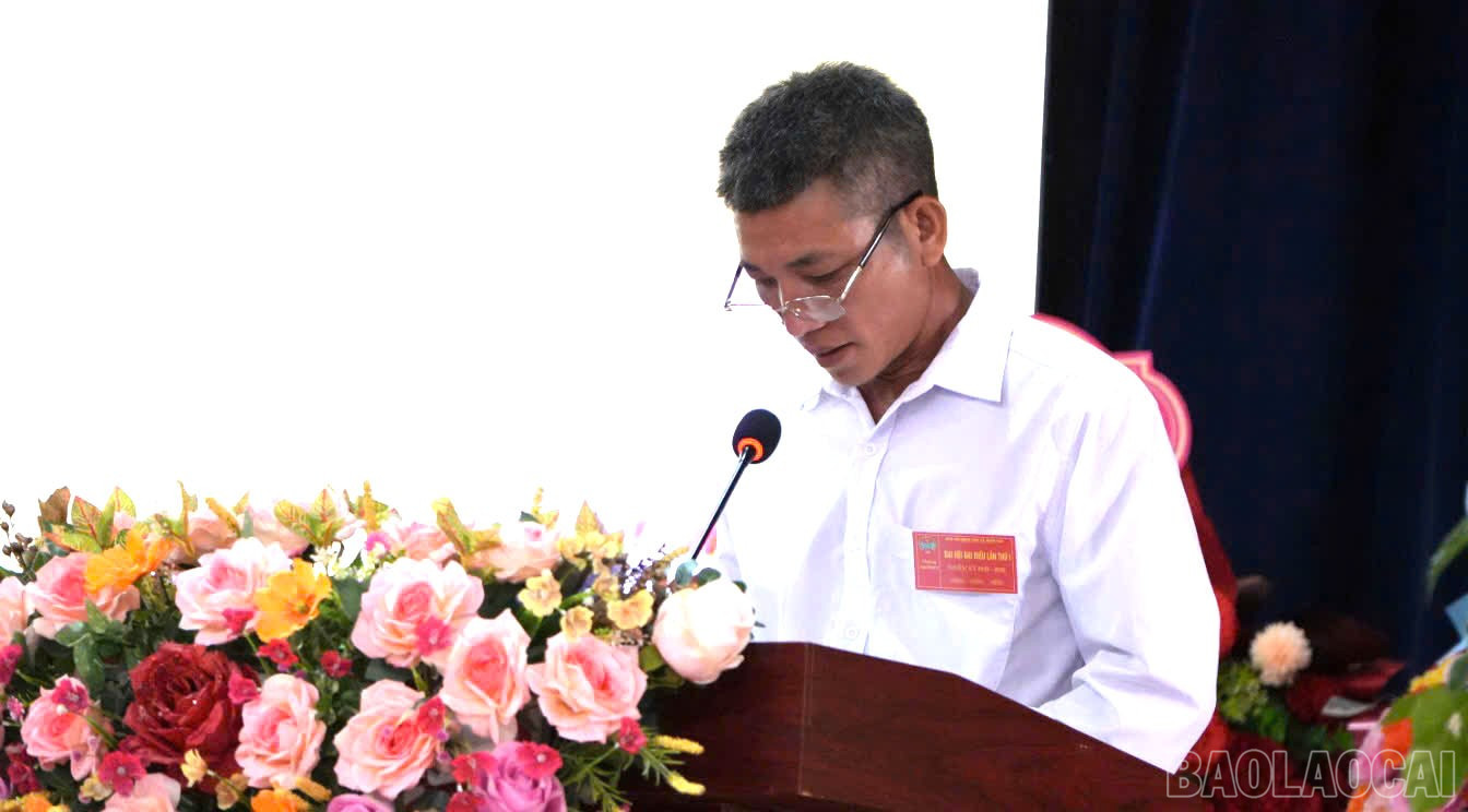 Đại biểu tham luận tại đại hội. baolaocai-br_thamluan-2.jpg