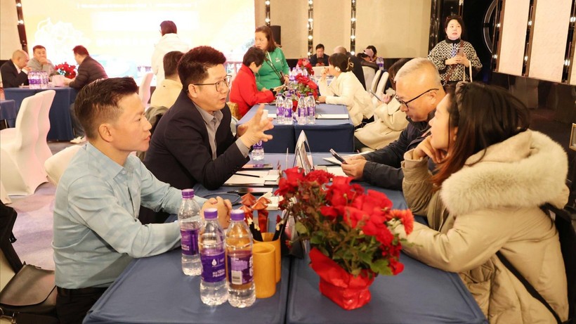 Chương trình giới thiệu du lịch Việt Nam tại Trung Quốc kéo dài từ ngày 20-28/10, thu hút nhiều doanh nghiệp hai nước tham gia. dulich1.jpg