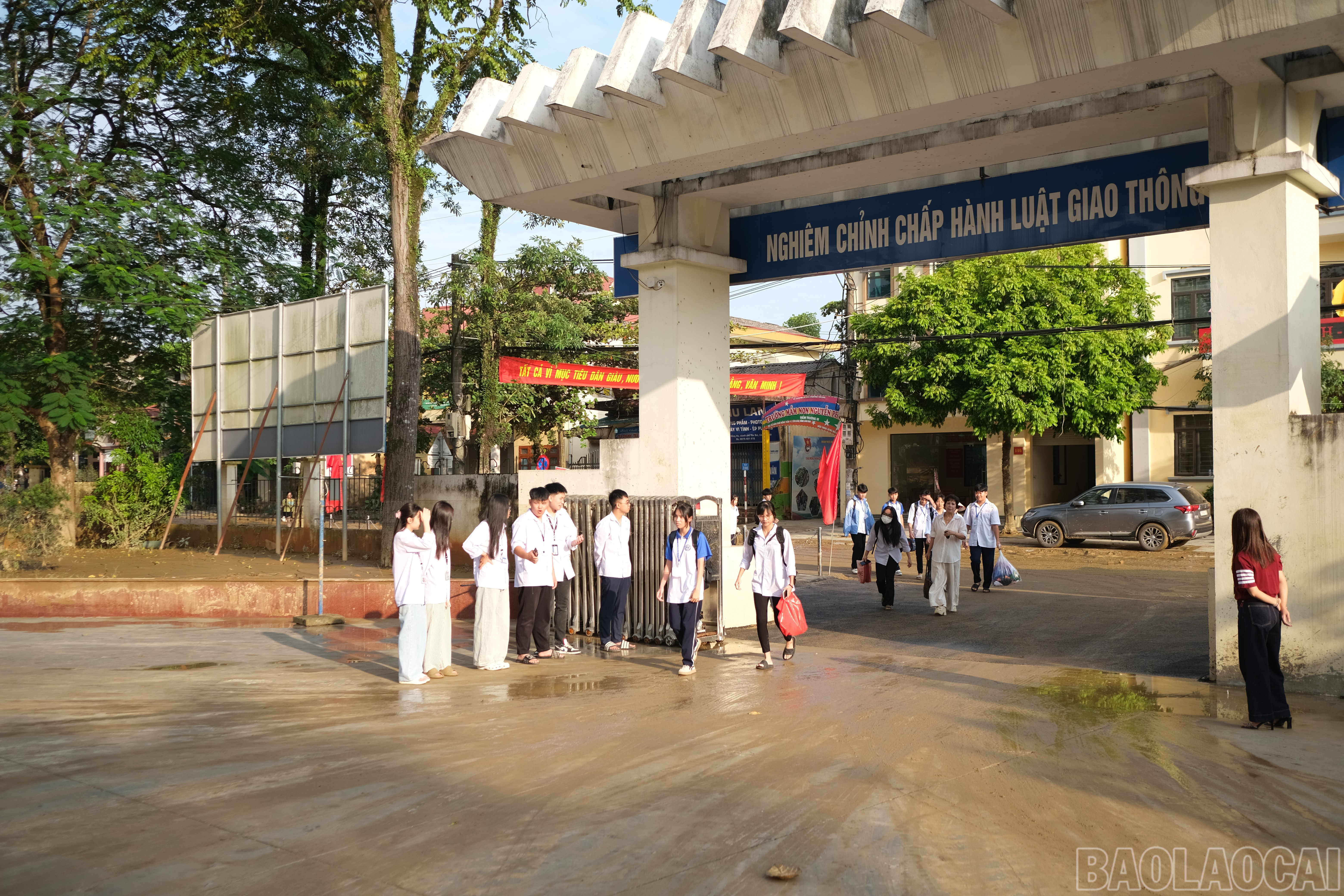 baolaocai-br_anh-3.jpg