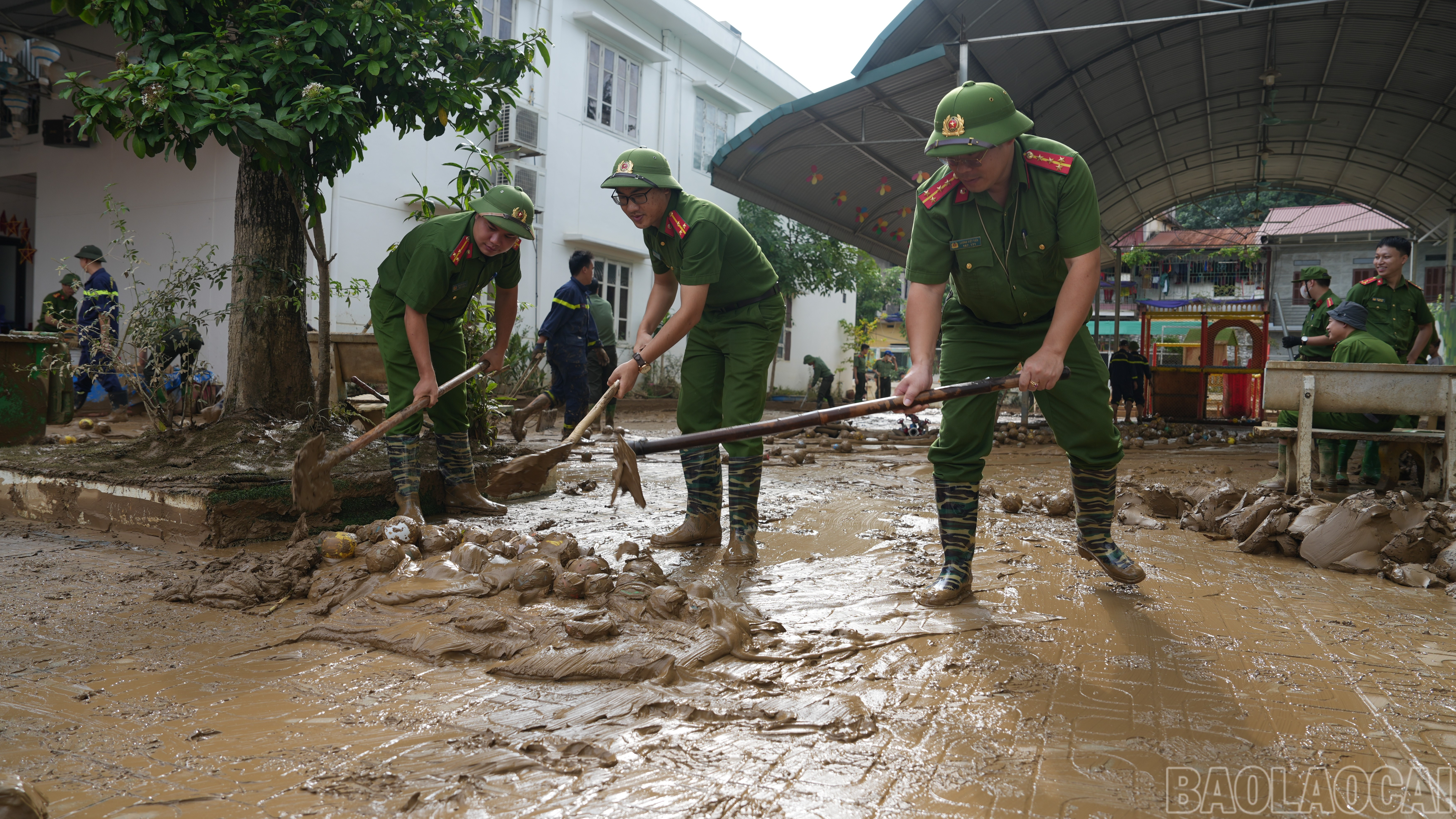 baolaocai-br_anh-8.jpg