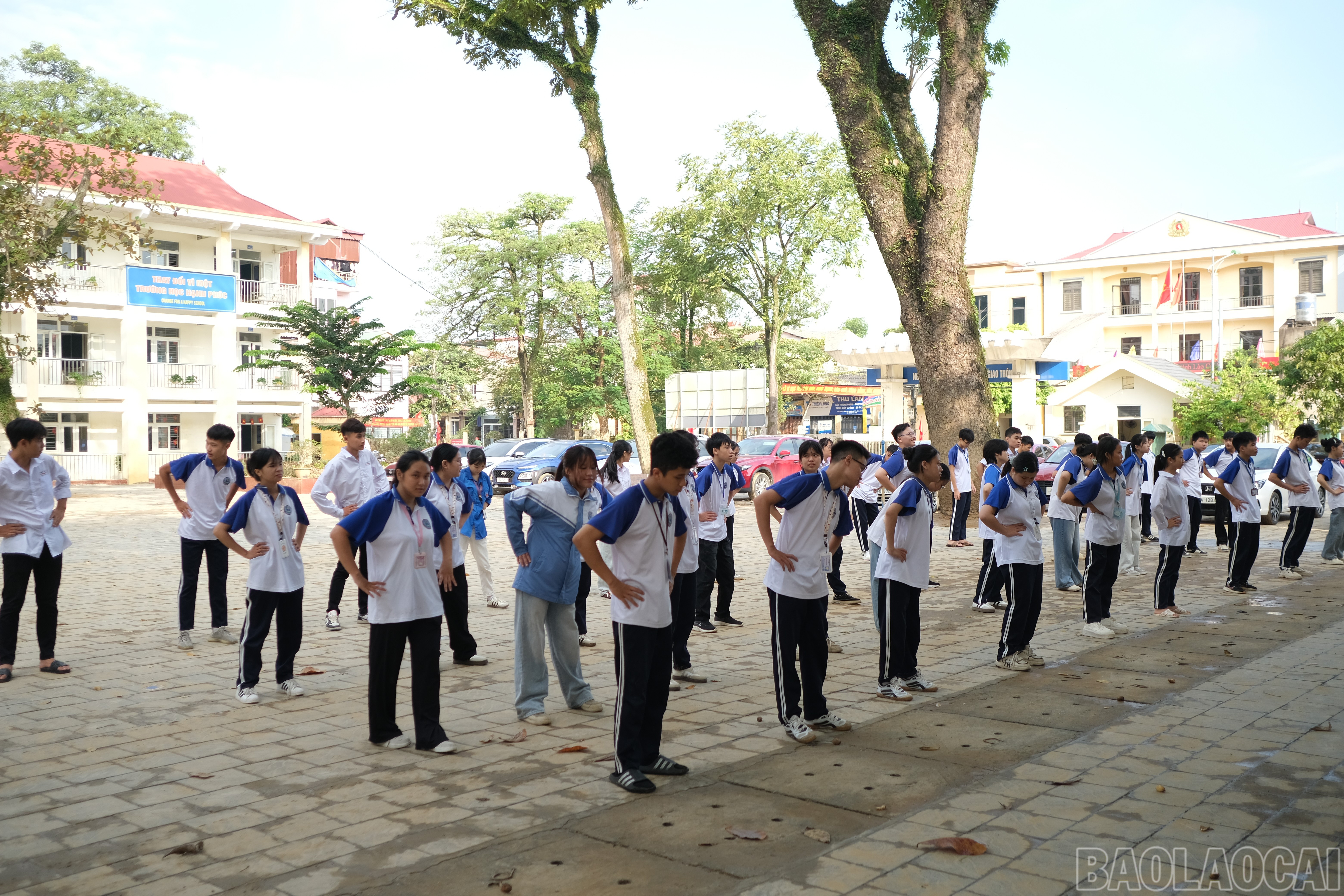 baolaocai-br_anh-5.jpg