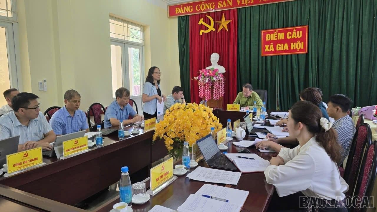 Đồng chí Lê Thị Hồng Vân - Tỉnh ủy viên, Trưởng Ban Văn hóa - Xã hội HĐND tỉnh phát biểu tại buổi làm việc. baolaocai-br_giahoibavan.jpg