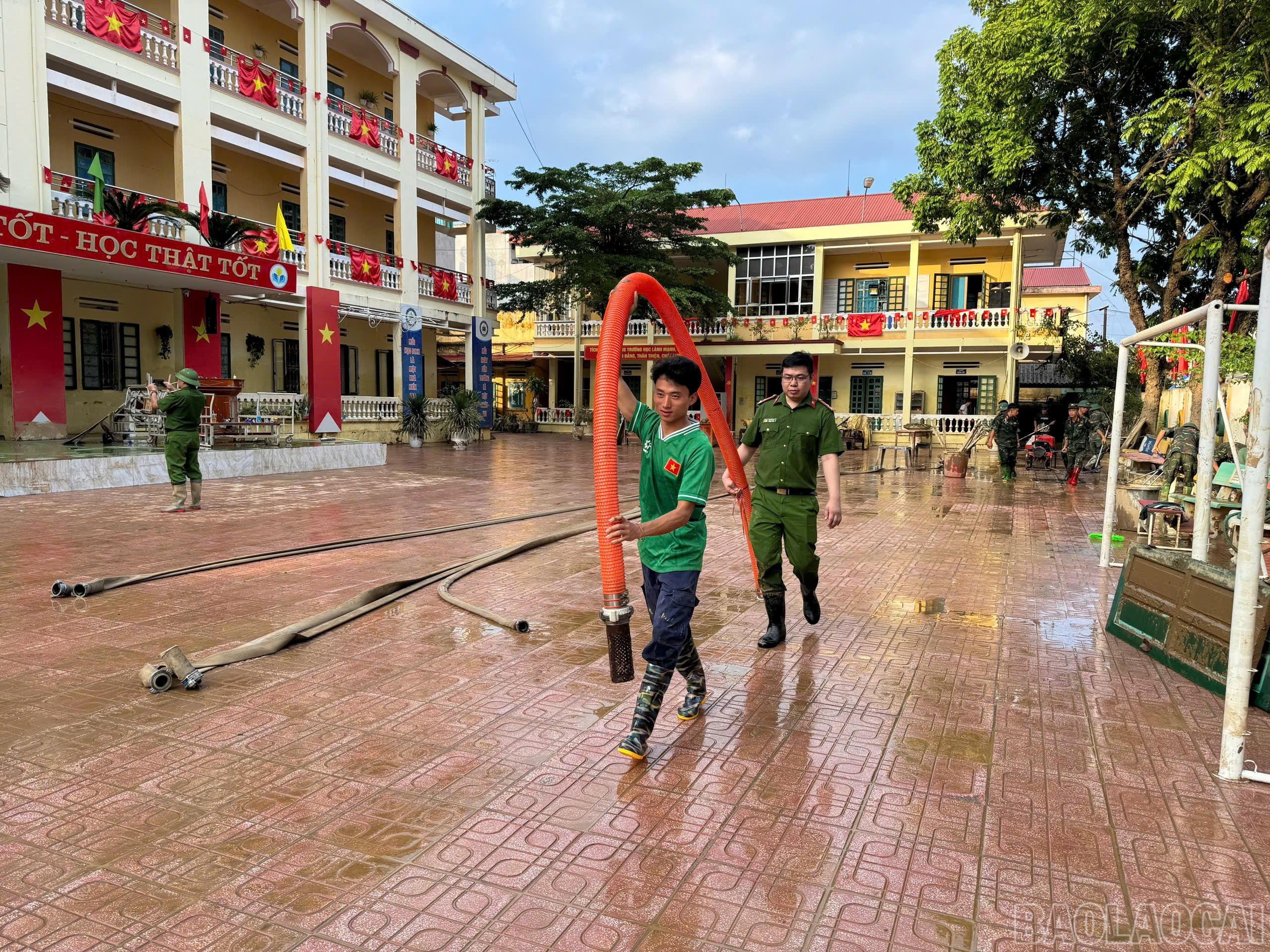 baolaocai-br_anh-10.jpg