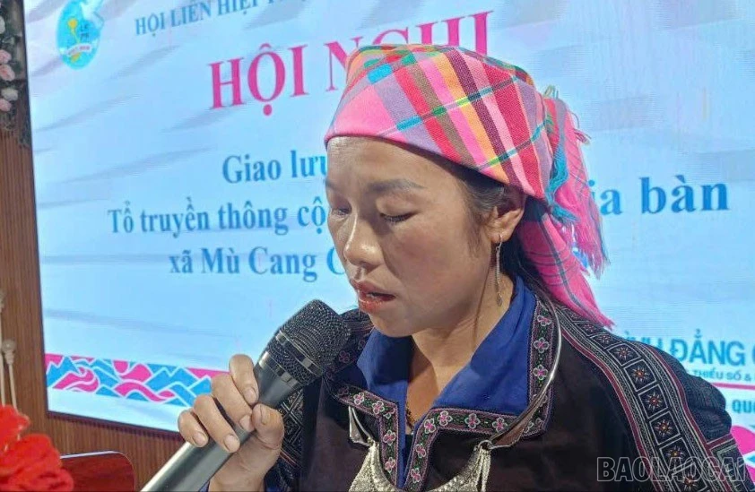 baolaocai-br-da8-2.jpg