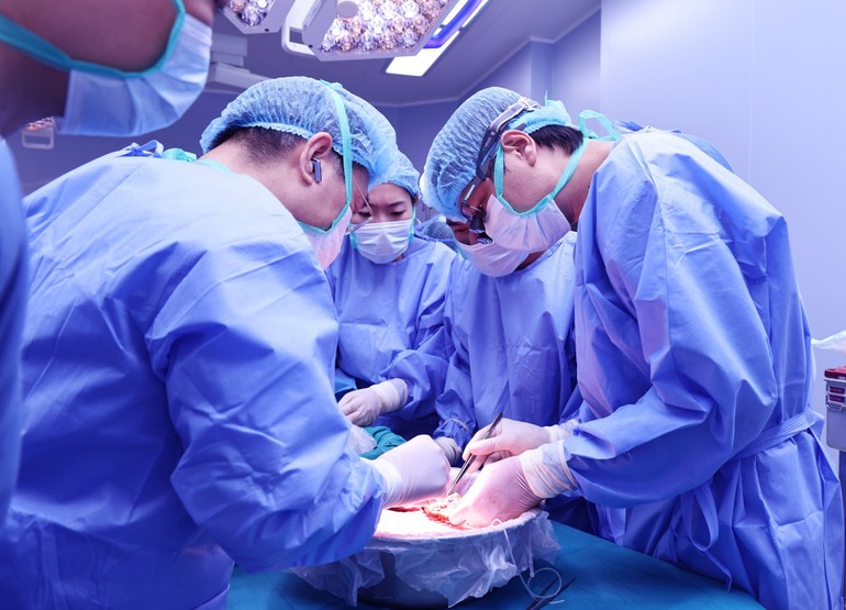 Bác sĩ chia lá gan người hiến.