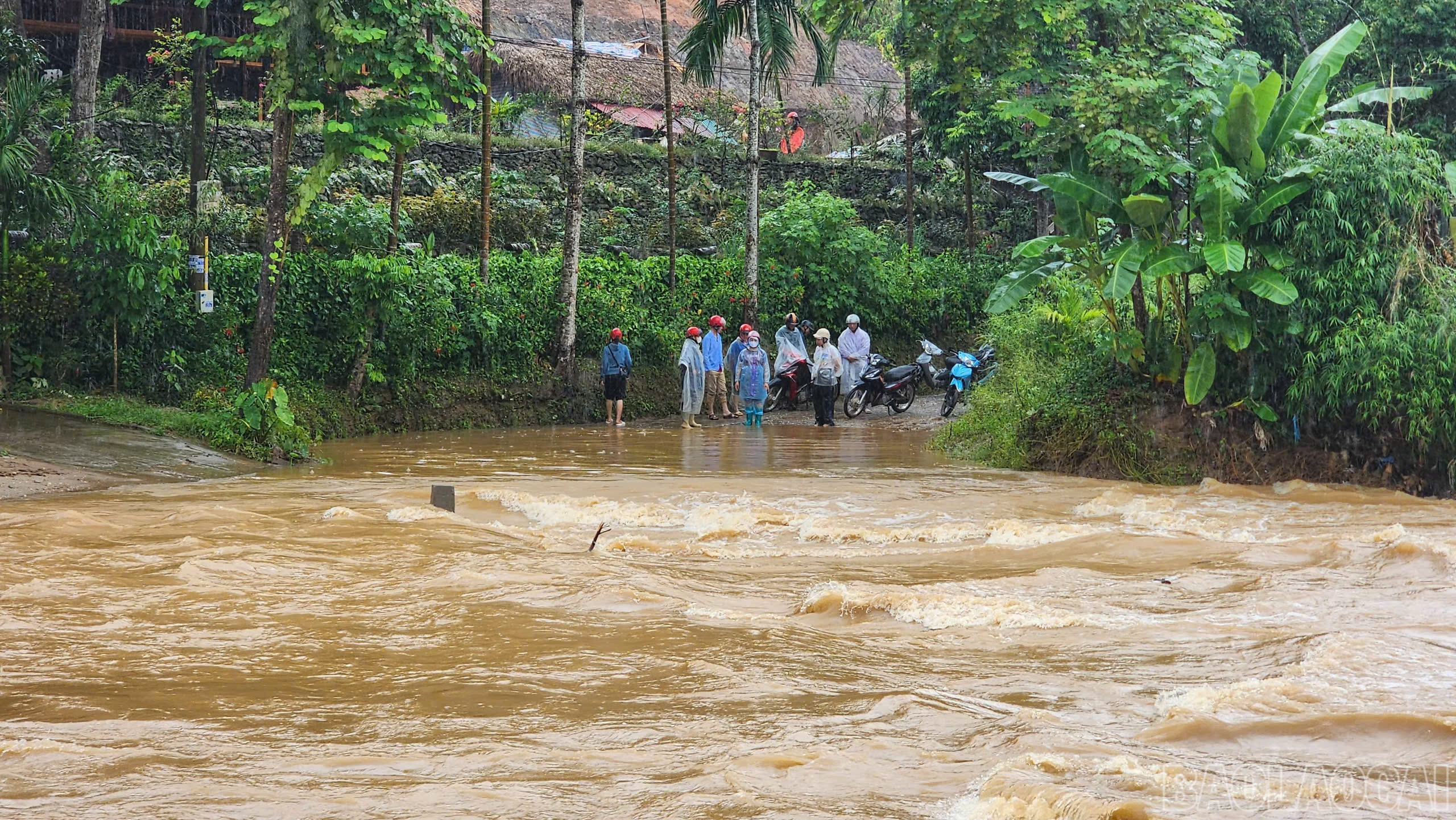baolaocai-br_nguoidancho1.jpg