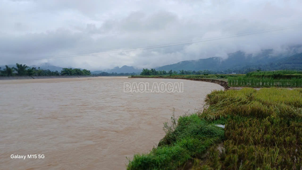2.000 m 2 đất màu tại tổ dân phố Phù Ninh và tổ dân phố Nong bị sạt lở hoàn toàn.