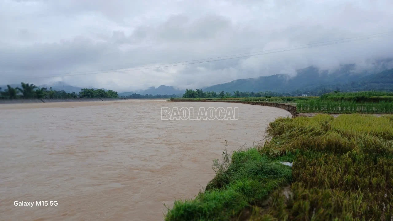 2.000 m 2 đất màu tại tổ dân phố Phù Ninh và tổ dân phố Nong bị sạt lở hoàn toàn.