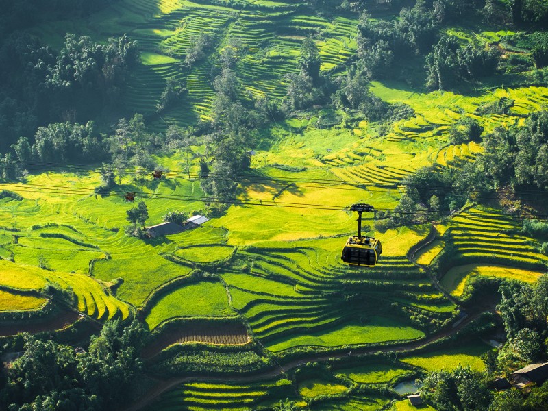 sapa4.jpg