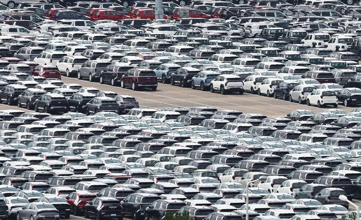 Ô tô chờ xuất khẩu tại cảng ở Gyeonggi.