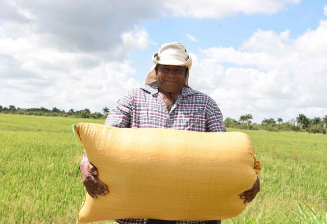 Nông dân Cuba vui mừng với thành quả sản xuất.