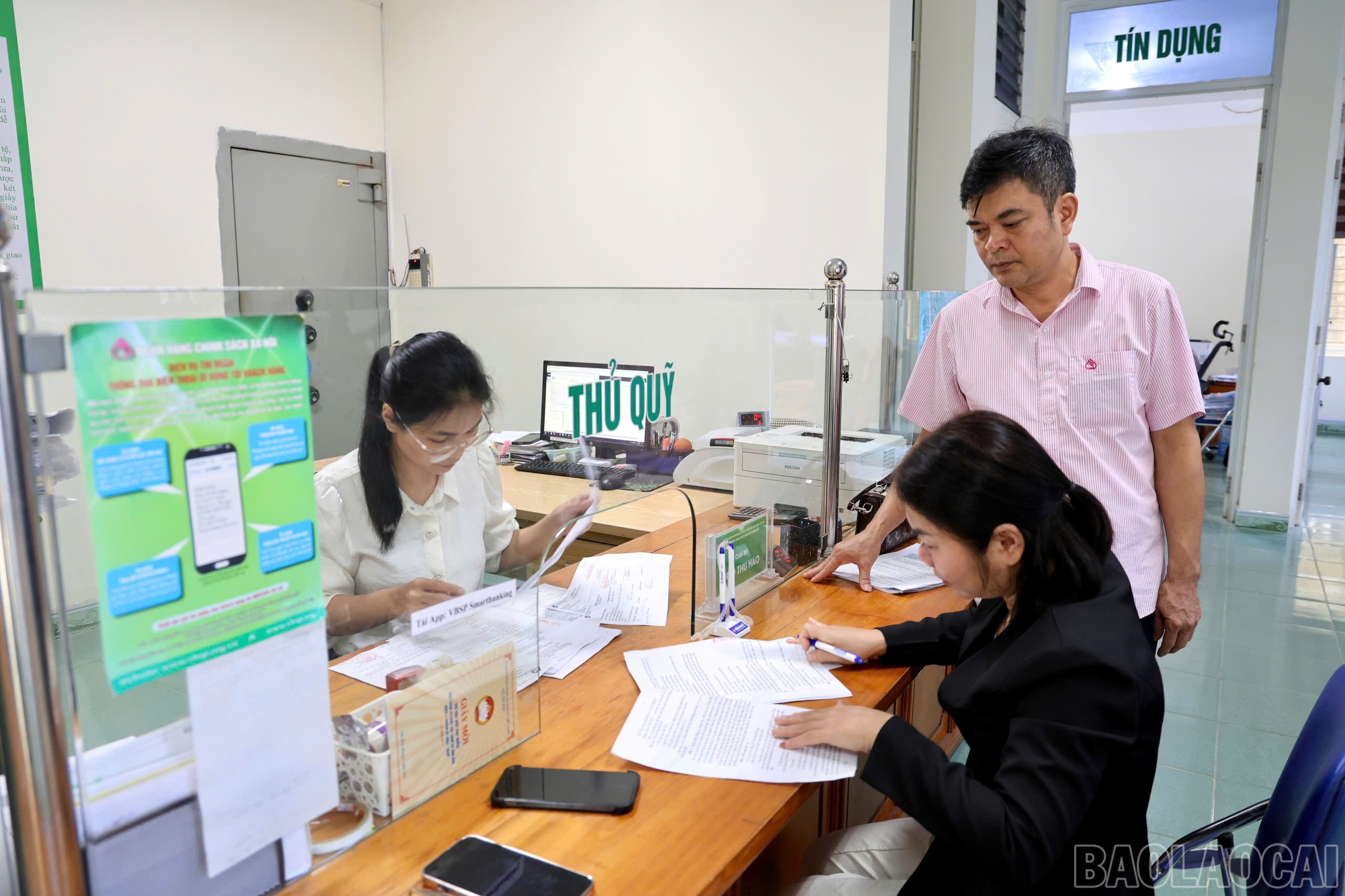 baolaocai-br_nhcs-3.jpg