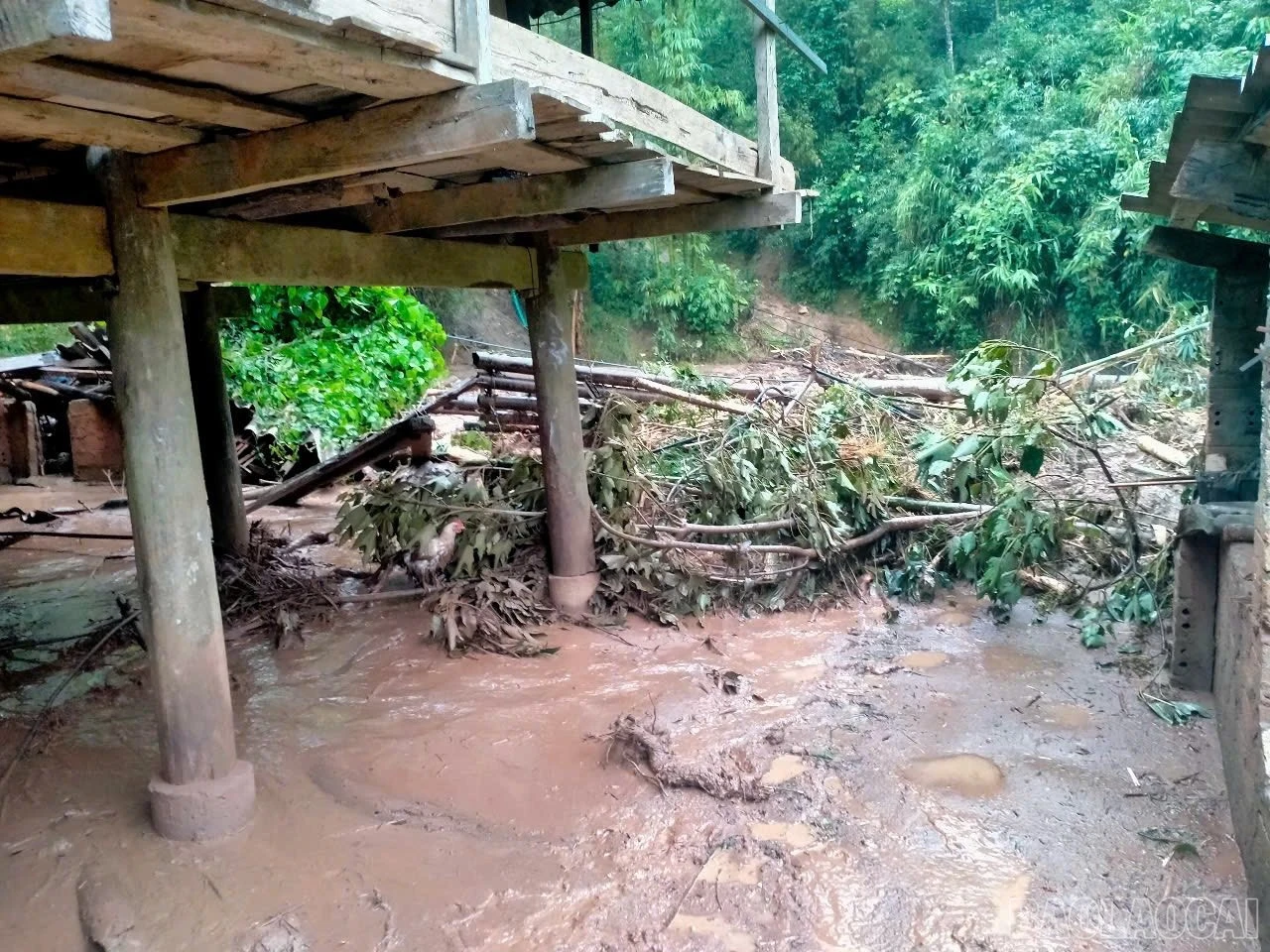 Cập nhật tình hình mưa lũ trên địa bàn tỉnh ngày 29 và 30/9 ảnh 179