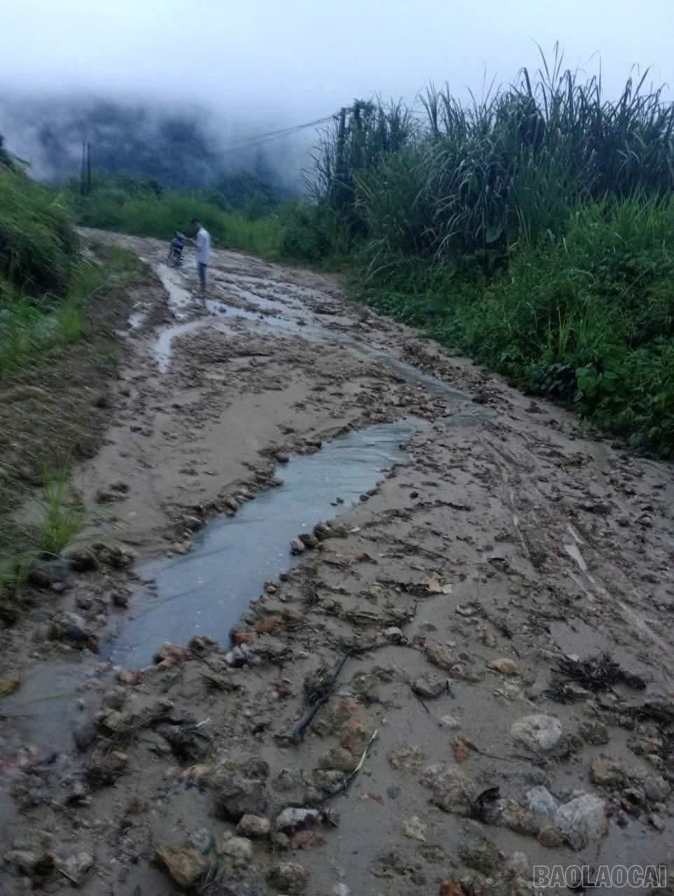 Tuyến đường Lâm Thượng đi xã Tân Phượng (cũ) bị xói mòn nghiêm trọng, cống thoát nước bị lũ cuốn trôi.