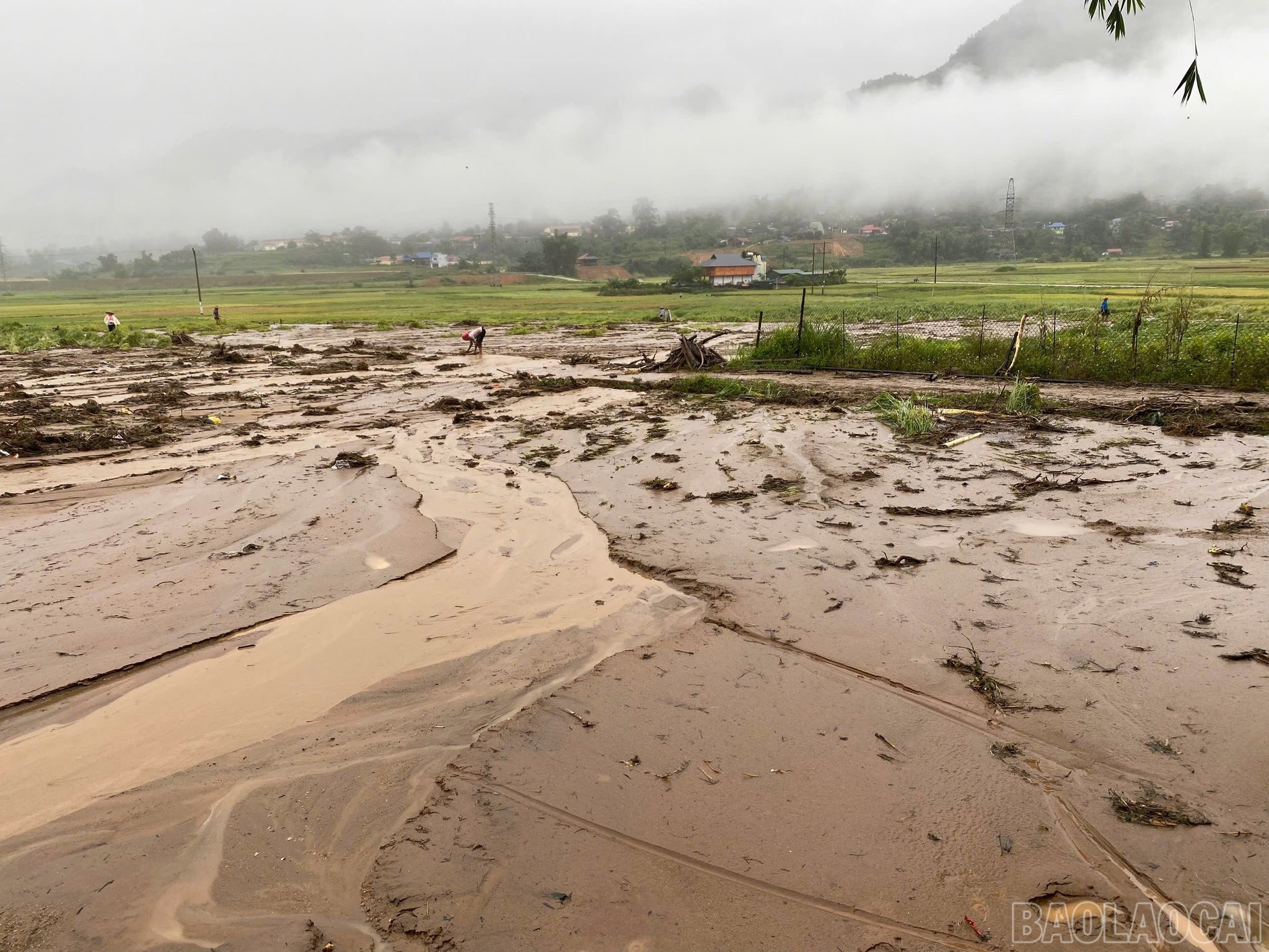 Cập nhật tình hình mưa lũ trên địa bàn tỉnh ngày 29 và 30/9 ảnh 178