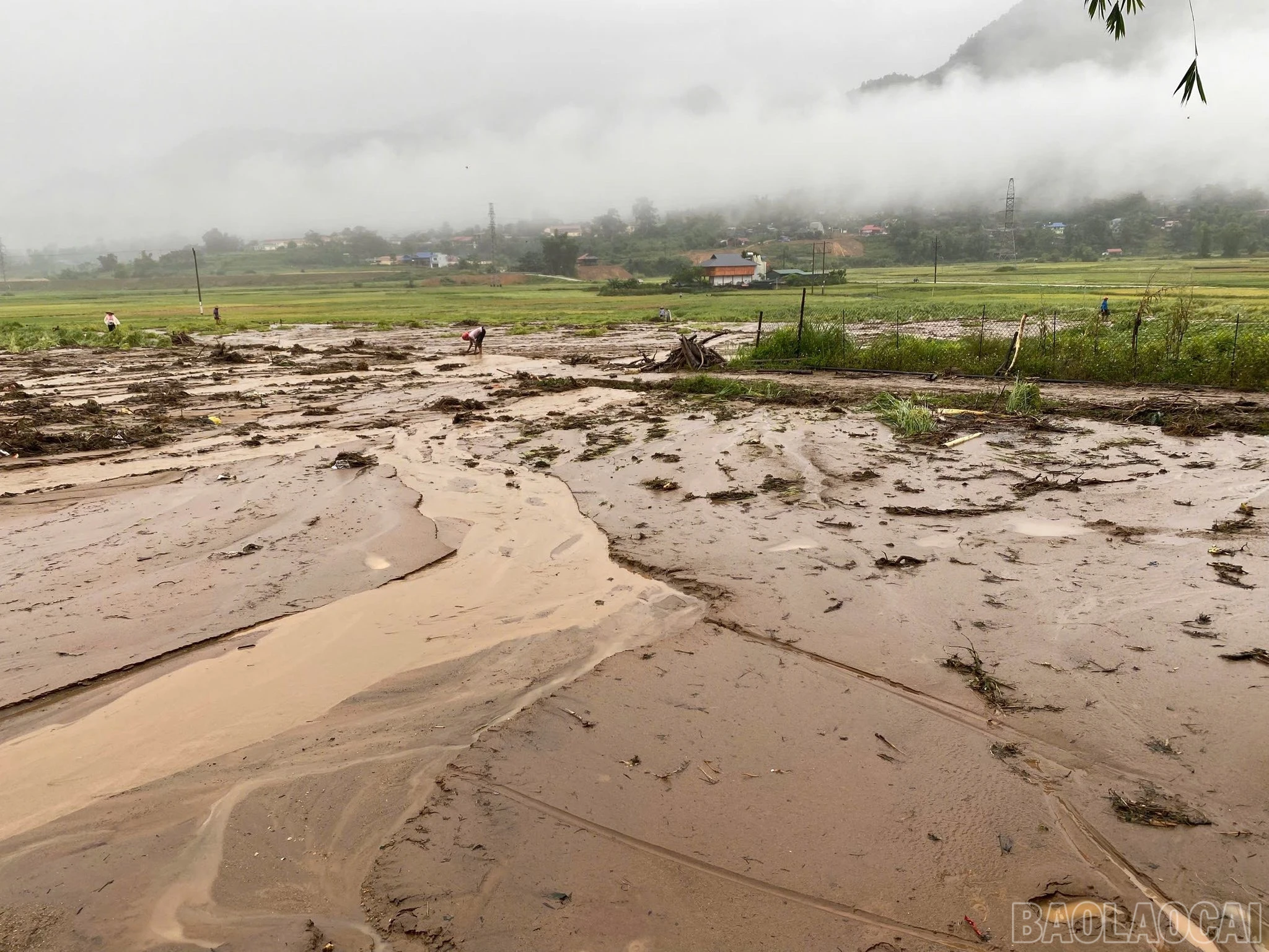 Cập nhật tình hình mưa lũ trên địa bàn tỉnh ngày 29 và 30/9 ảnh 178