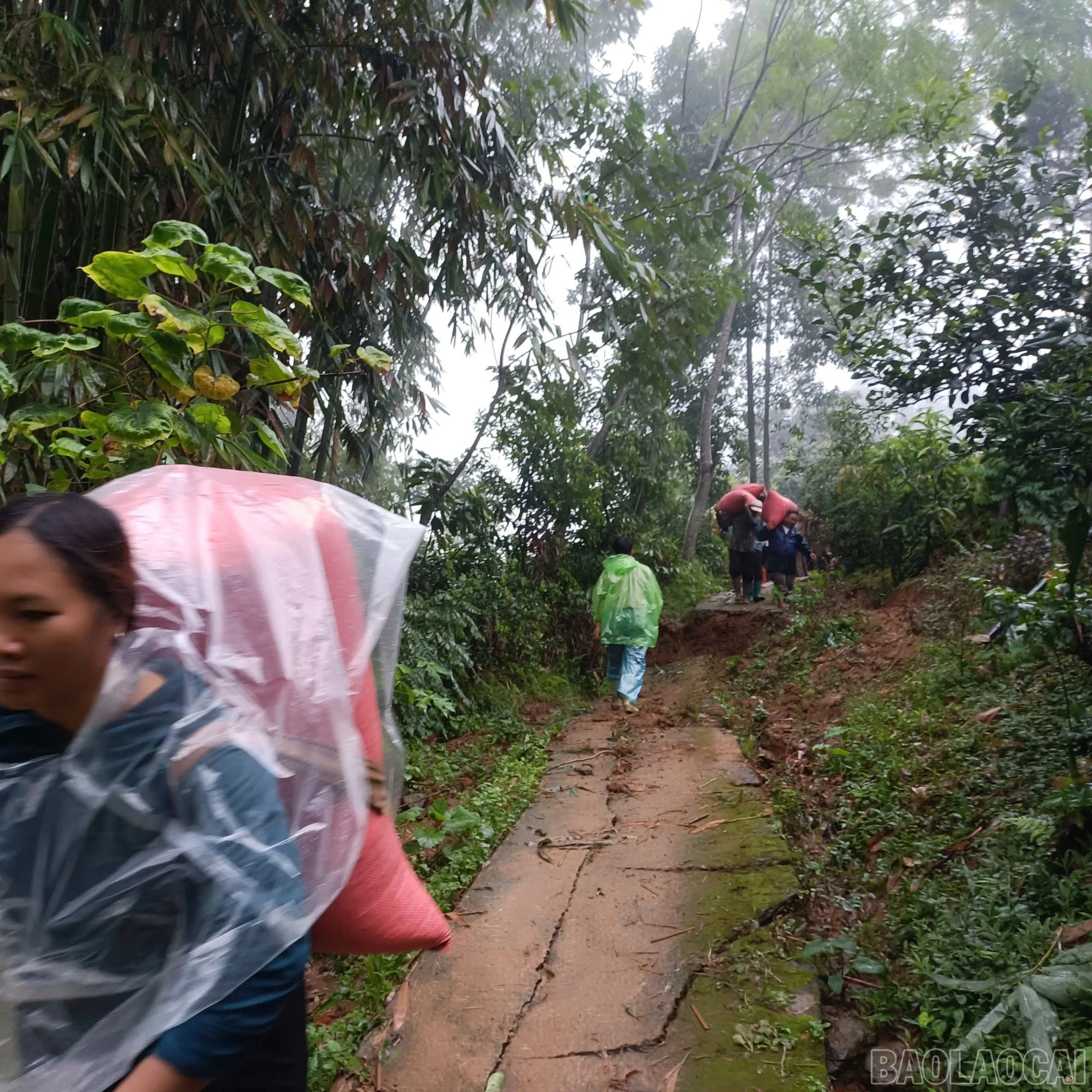 Cập nhật tình hình mưa lũ trên địa bàn tỉnh ngày 29 và 30/9 ảnh 182