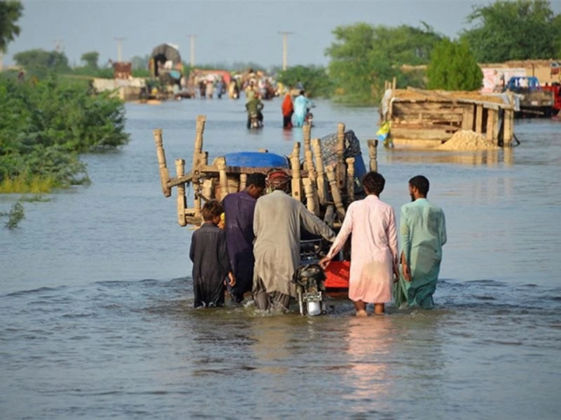 Hơn 200 người thiệt mạng vì mưa gió tại Pakistan.