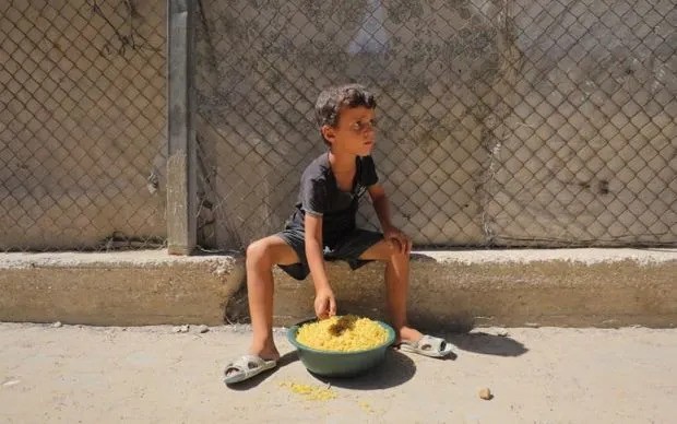 Số trẻ được UNICEF tiếp nhận điều trị suy dinh dưỡng tăng mạnh từ tháng 2. treemgaza.jpg