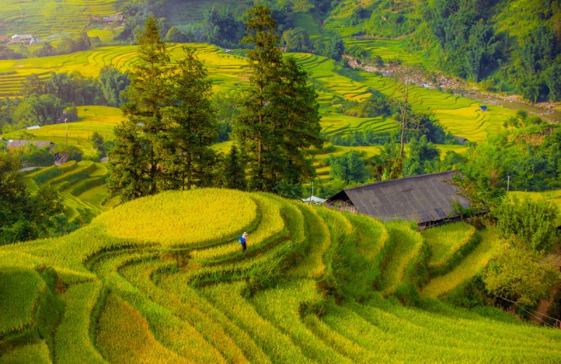 sapa1.jpg