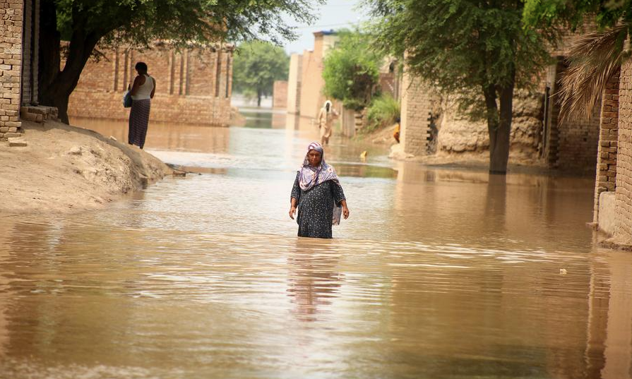 Một người phụ nữ lội qua dòng nước lũ tại khu vực ngoại ô Multan, Pakistan ngày 02/9. Một người phụ nữ lội qua dòng nước lũ tại khu vực ngoại ô Multan, Pakistan ngày 02/9.