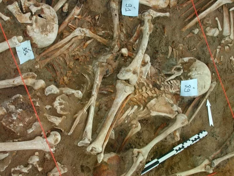 Hài cốt binh lính thuộc quân đội của Napoleon được tìm thấy trong một ngôi mộ tập thể ở vùng ngoại ô phía bắc Vilnius, Litva vào năm 2001.