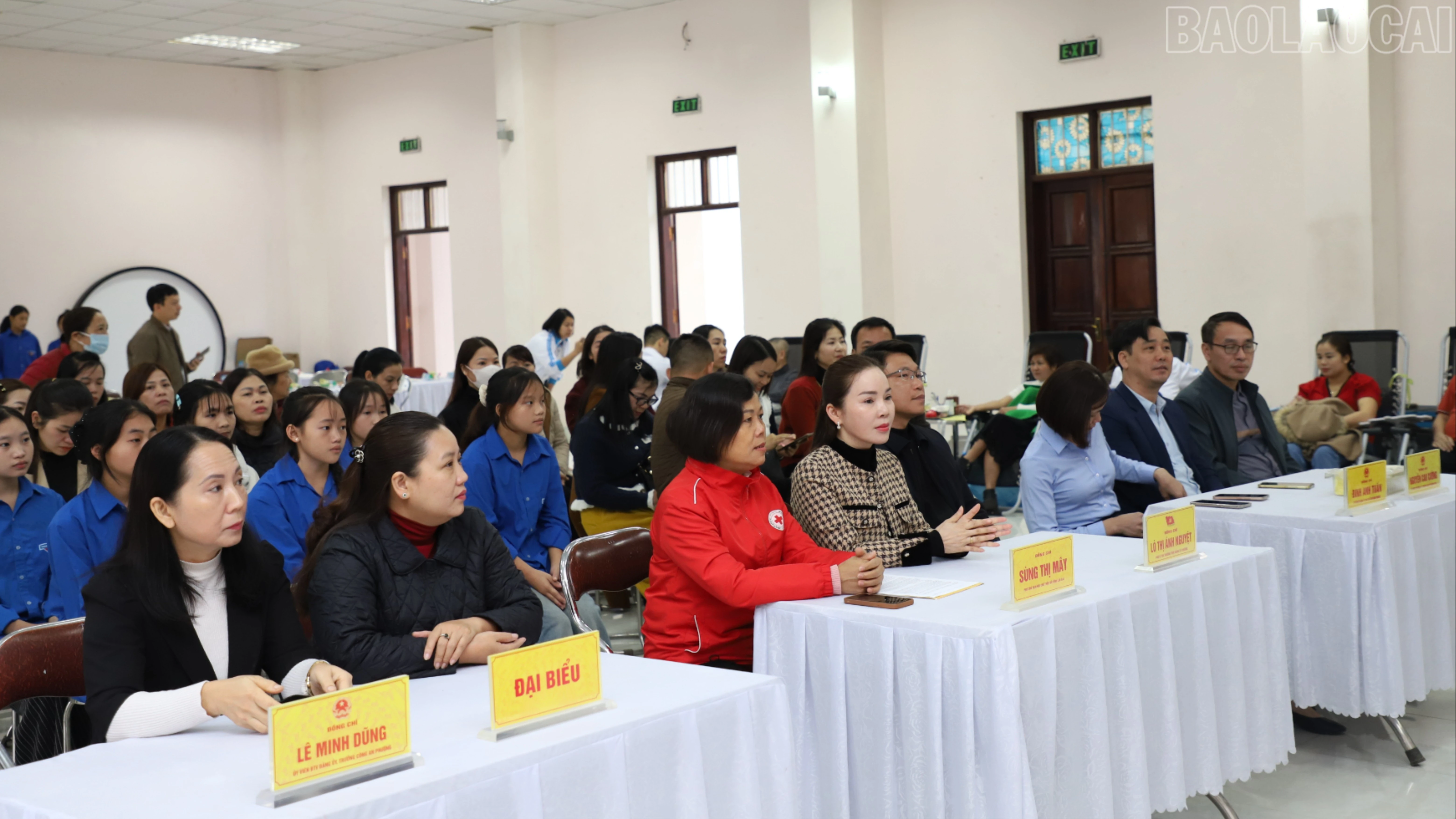 baolaocai-tr_cac-dai-bieu-tham-du-262.jpg