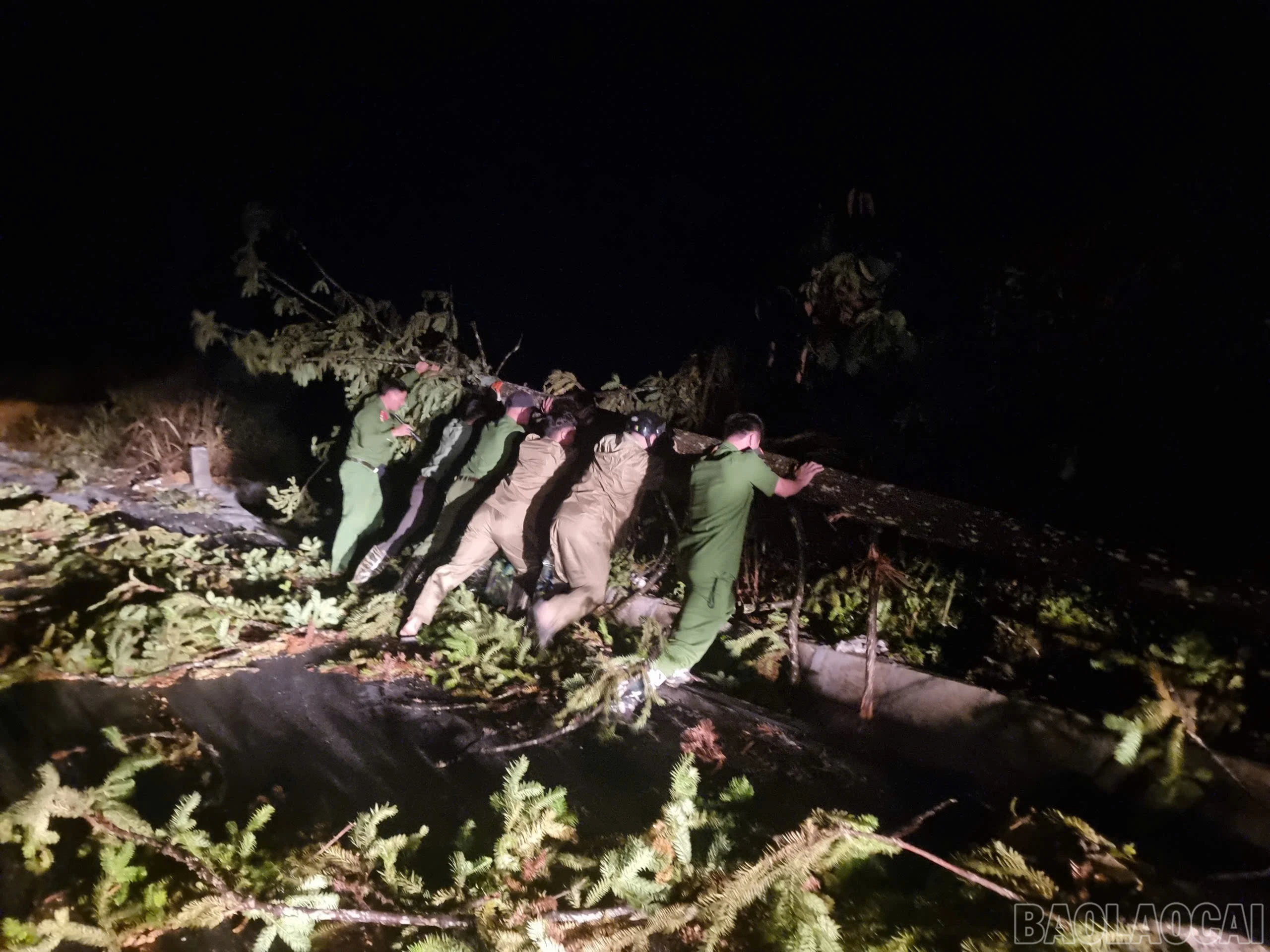 Nhiều cây lớn gãy, đổ chắn ngang đường, cản trở giao thông.