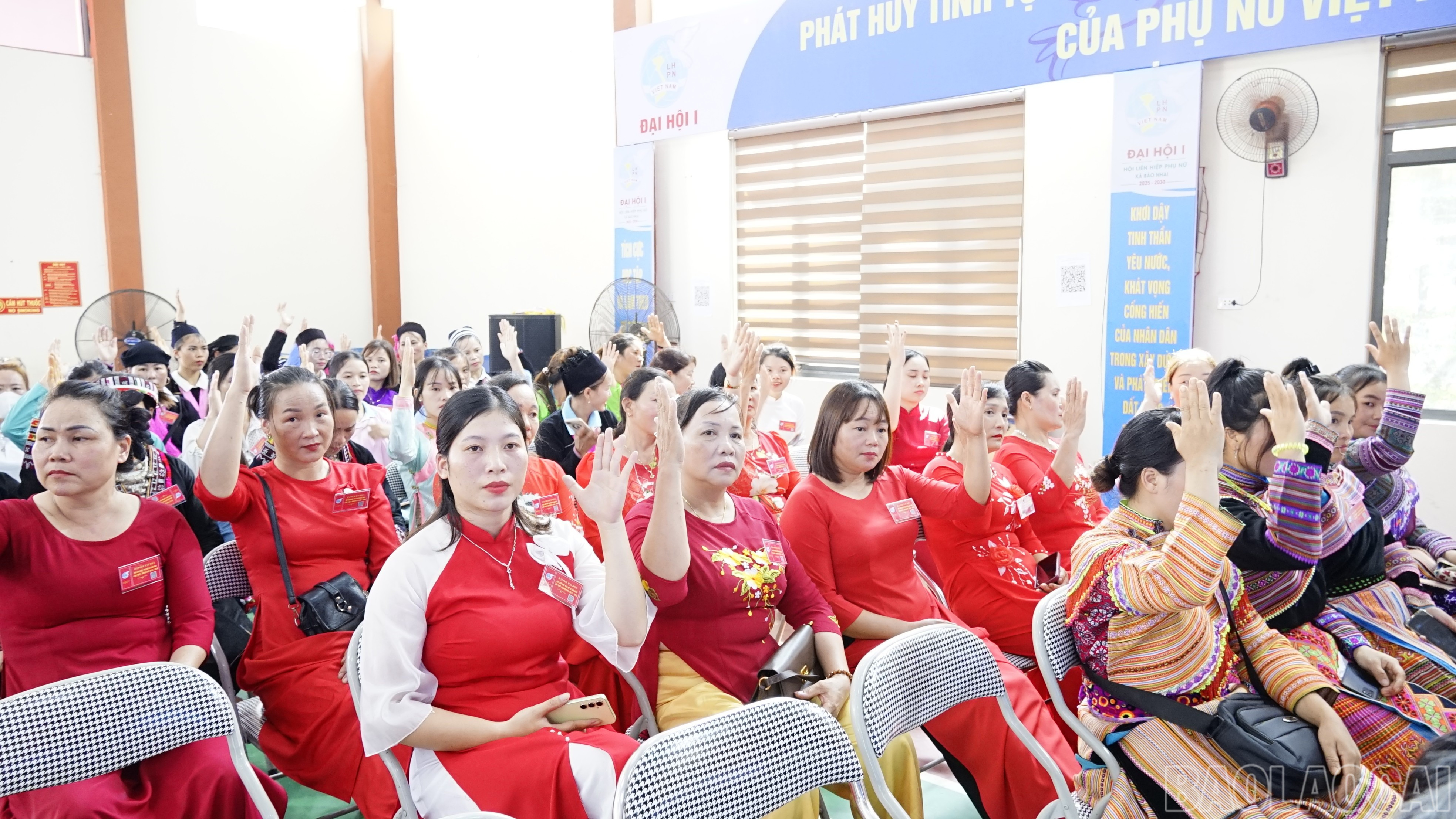 baolaocai-br_dsc3371.jpg