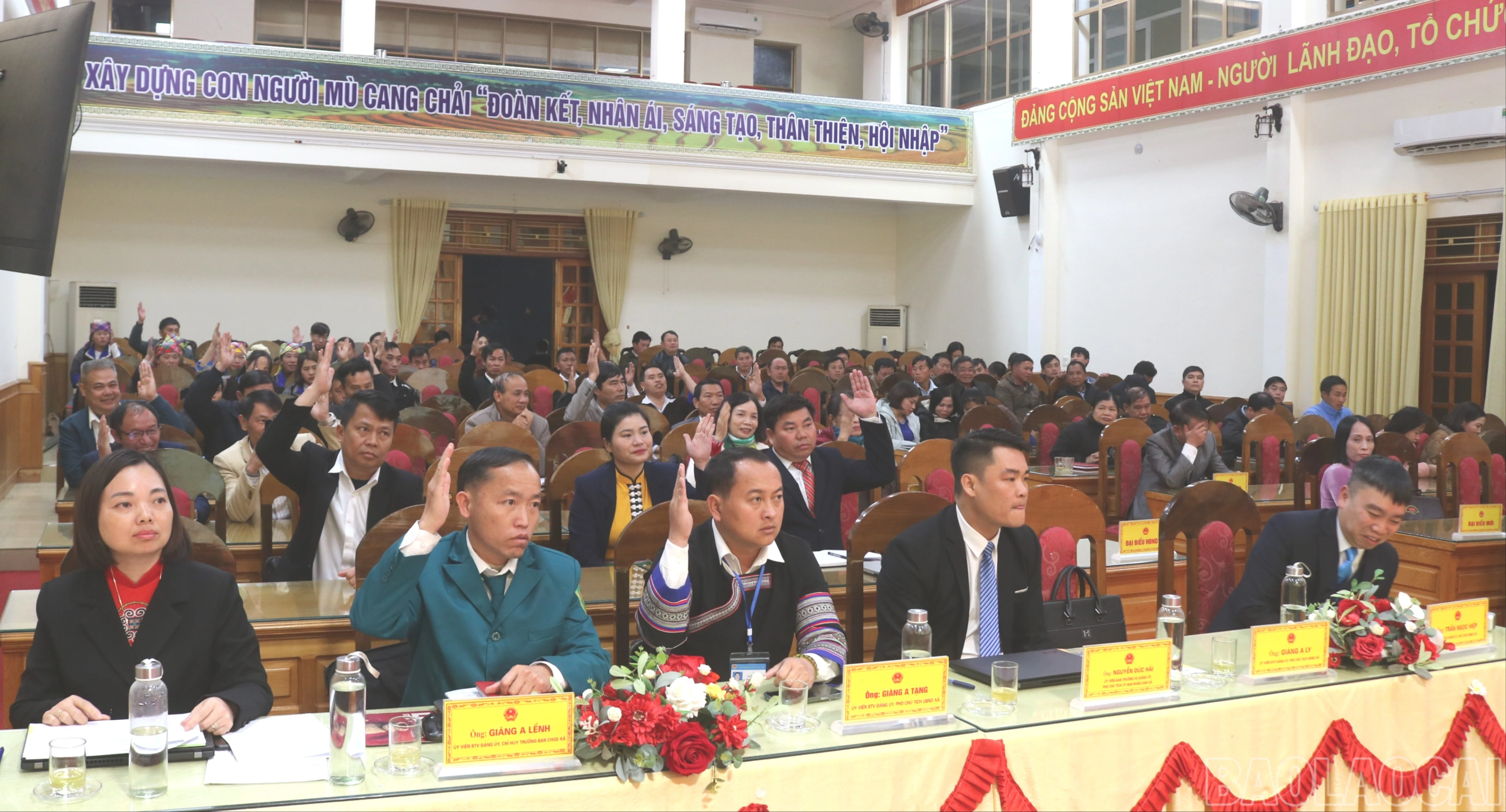 baolaocai-br_a-8-9173-9490.jpg