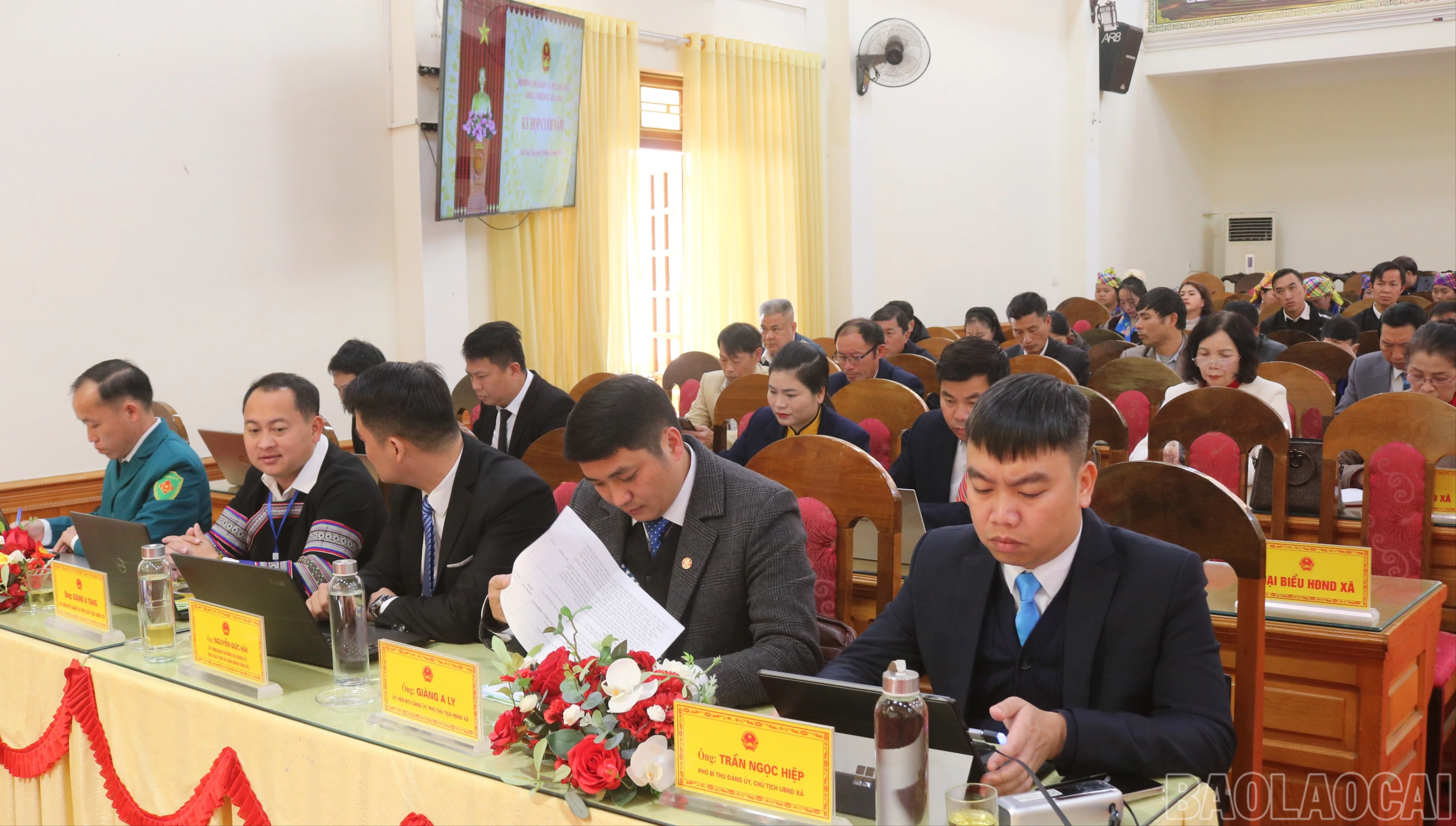 baolaocai-br_a-3-7345.jpg