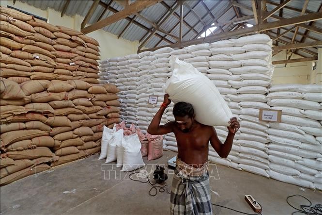 Công nhân vận chuyển gạo tại nhà kho ở Chennai, Ấn Độ. Công nhân vận chuyển gạo tại nhà kho ở Chennai, Ấn Độ.